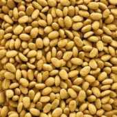 Versele Laga Nutribird P19 Original (Renksiz) 10kg Kapalı Ambalaj - 2