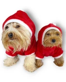 Santa Time Yılbaşı Köpek Sweatshirt, Noel Sweatshirt gold - 11