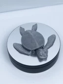 3D Hareketli Kaplumbağa Figürlü Oyuncak - Gri thumbnail 1