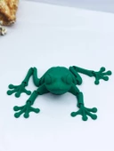 3D Hareketli Kurbağa Figürlü Oyuncak - Yeşil thumbnail 3