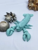 3D Hareketli Istakoz Figürlü Oyuncak - Turkuaz thumbnail 5