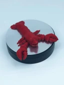 3D Hareketli Istakoz Figürlü Oyuncak - Kırmızı thumbnail 6