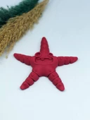 3D Hareketli Deniz Yıldızı Oyuncak - Kırmızı - 1