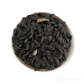 Hanımelipetstore Paraket Siyah Çekirdek 5Kg - 2