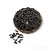Hanımelipetstore Paraket Siyah Çekirdek 5Kg - 1
