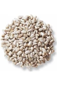 Aspir Çekirdeği, Ufak Çekirdek (Saka,Paraket,Papağan) 1Kg - 1