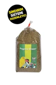 Pagima Green Sindirim Sistemi Düzenleyici Çim Tohumu - 50gr - 1