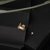 14 Ayar Altın Yengeç Tragus Küpe - 4