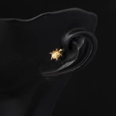 14 Ayar Altın Kaplumbağa Tragus Küpe - 2