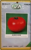 Ancon Domates Tohumu (10 gr) İri Domates-Bursa Tohum - 3