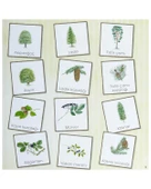 Dünyayı Öğreniyorum Ormanda Resimli Sözlüğüm İş Bankası thumbnail 3