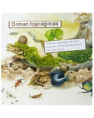 Dünyayı Öğreniyorum Ormanda Resimli Sözlüğüm İş Bankası thumbnail 2