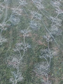 Gül Desenli İşlemeli Tül Perde Beyaz 2,85x12m - 1