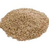 Yulaf Tohumu 1KG PAKETLERDE thumbnail 1