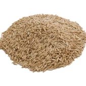 Yulaf Tohumu 1KG PAKETLERDE thumbnail 2