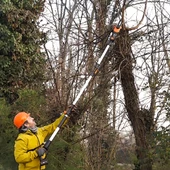 WORX WG349E 20Volt 2.0Ah Li-ion Tek Akülü 20CM Profesyonel Teleskobik Saplı Açı Ayarlı Zincirli Dal Budama - 7