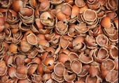 Fındık Kabuğu Yakıt 5 Kg - 1
