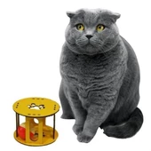 BUFFER® Ahşap Kafes Renkli Toplu Kedi Patisi Desenli Sesli Kedi Oyuncağı - 2