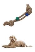 BUFFER® Diş Kaşıma İpi Köpek Oyuncağı Diş Güçlendirme Temizleme İpi Köpek Oyun Halatı - 3