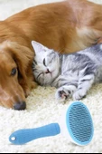 BUFFER® Kedi Köpek Tüy Toplayıcı Kendini Temizleyebilen Ergonomik Saplı Evcil Hayvan Tarağı Mavi - 8
