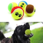 BUFFER®  3lü Renkli Desenli Tenis Topu Kedi Köpek Oyuncağı - 3