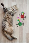 BUFFER® 2li Rattan Renkli Peluş Tüy Kedi Köpek Oyuncak Yakalama Çiğneme Çıngıraklı Top Oyuncağı - 10