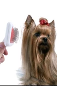 BUFFER® Paslanmaz Evcil Hayvan Kedi Köpek Tüy Tarama Toplama Fırçası Kolay Temizlenir Bakım Aleti - 9