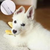 BUFFER® Parlak Metal Köpek Tarağı Renkli Pet Köpek Pire Tımar Tarağı Köpek Tüyü Tarama - 5