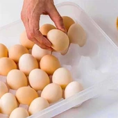 BUFFER® 30lu Yumurta Saklama Kabı - 4
