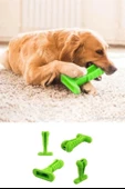 BUFFER® Köpek Diş Temizleyici ve Kaşıyıcı Sağlıklı Küçük Boy Oyuncak - 2
