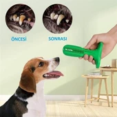 BUFFER® Köpek Diş Temizleyici ve Kaşıyıcı Sağlıklı Küçük Boy Oyuncak - 8