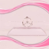 BUFFER® Dekoratif Masa Üstü Obje Manyetik Kinetik Orbital Dönen Yunuslar - 2