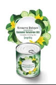 BUFFER® Konserve Bahçem Konservede Çengelköy Salatalık Yetiştirme Kiti - 2