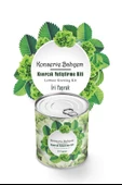 BUFFER® Konserve Bahçem Evde Konservede İri Yapraklı Kıvırcık Yetiştirme Kiti - 2