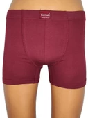 Berrak 4498 Erkek Renkli Boxer - 3