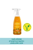 Viking Premium Mutfak Spreyi Turunç Bahçesi 750 ml 1 Adet - 2