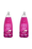 Viking Premium Bulaşık Deterjanı Orman Meyveleri 750 ml 2 Adet - 1