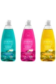 Viking Premium Bulaşık Deterjanı Orman Meyveleri&Fesleğen-Limon&Nergis-Bergamot 750 ml 3 Adet - 1