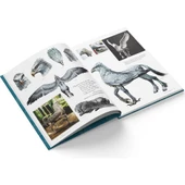 Film Dehlizi Kitap 1: Orman, Göl ve Gök Sakinleri (Ciltli) - 5