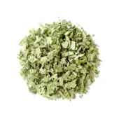 Aktarist Aslanpençesi Düz Yaprak - 2