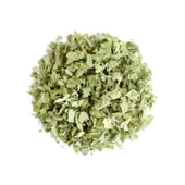 Aktarist Aslanpençesi Düz Yaprak - 3