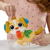 Play-Doh Veteriner Seti F3639 - 7