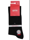 Şirin 7350 12'li Dikişsiz Likralı Pamuk Erkek Çorap - 2