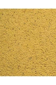 Gold Patee Kanarya Ballı Yumurta Maması (Sarı Kapak) 250gr - 2