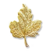 20 Adet Metal Çınar Yaprağı - 1