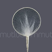 Düz Raket 72 Adet - 4