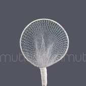 Düz Raket 72 Adet - 3