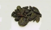 Dökme Baharat Kara Helile- 100 gr - 1