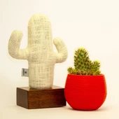 Kayıgo Cactus Lavanta Dolgulu Notluk - 4