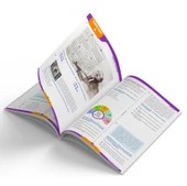 8.Sınıf LGS Din Kültürü ve Ahlak Bilgisi Deneme Sınavları (1.Dönem) - 2